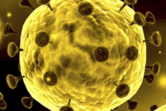 Coronavirus, in Puglia 69 nuovi casi: positivo il 3,25% dei tamponi